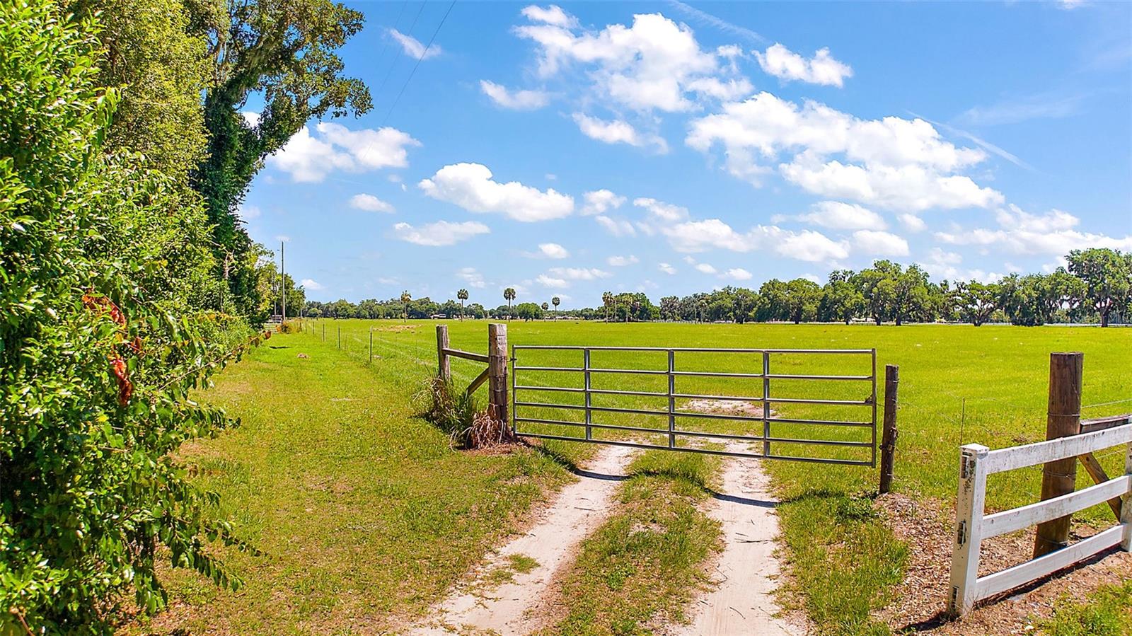 E C-478 -UNASSIGNED ADDRESS, WEBSTER, FL — photo 15