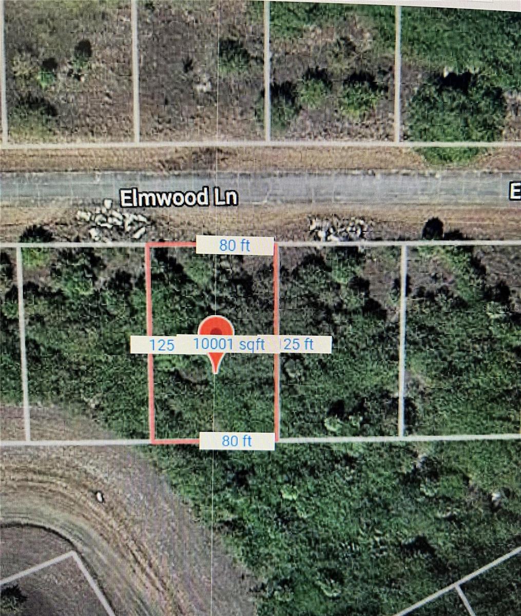 216 ELMWOOD ST, LABELLE, FL