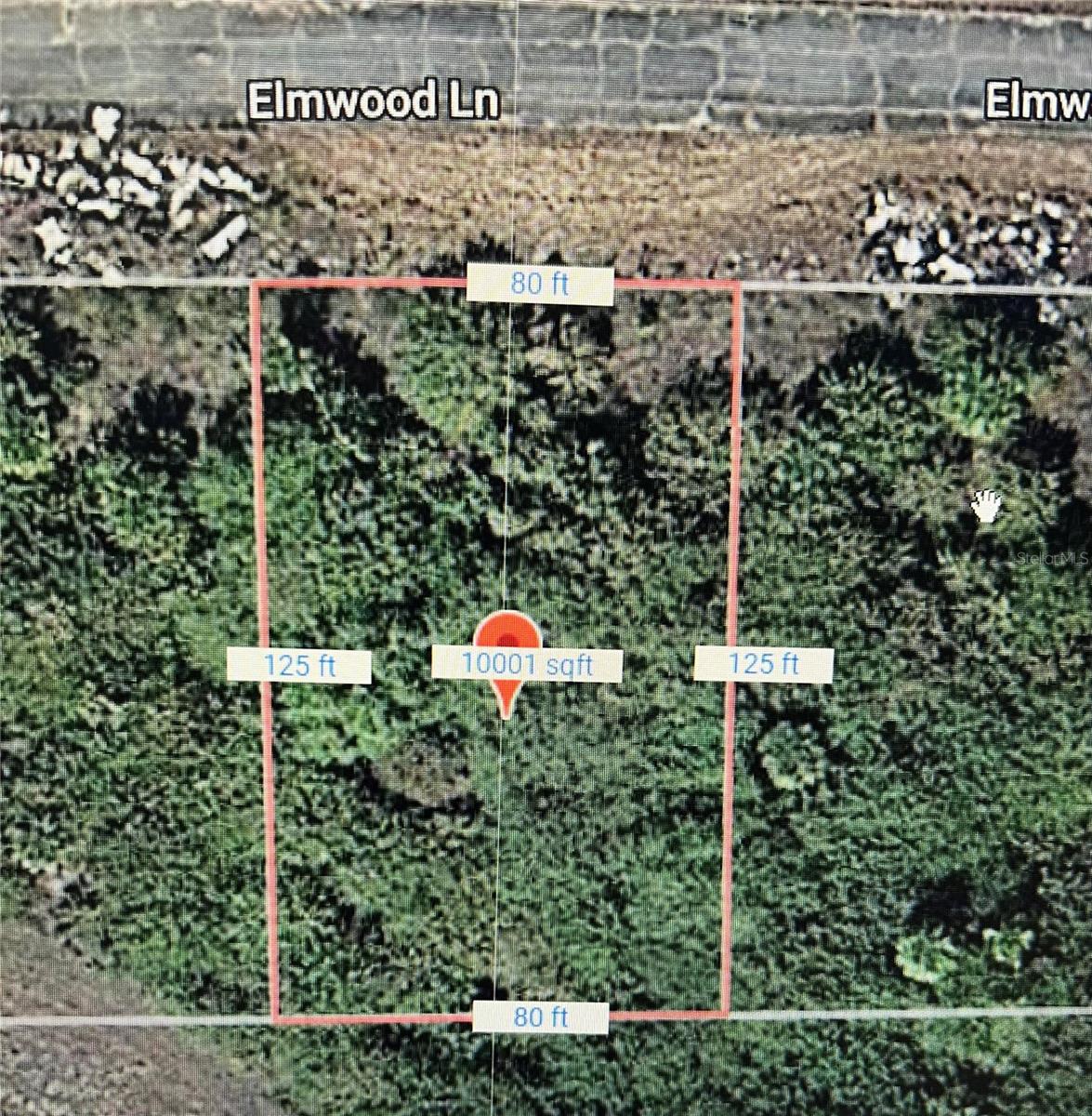 216 ELMWOOD ST, LABELLE, FL — photo 2