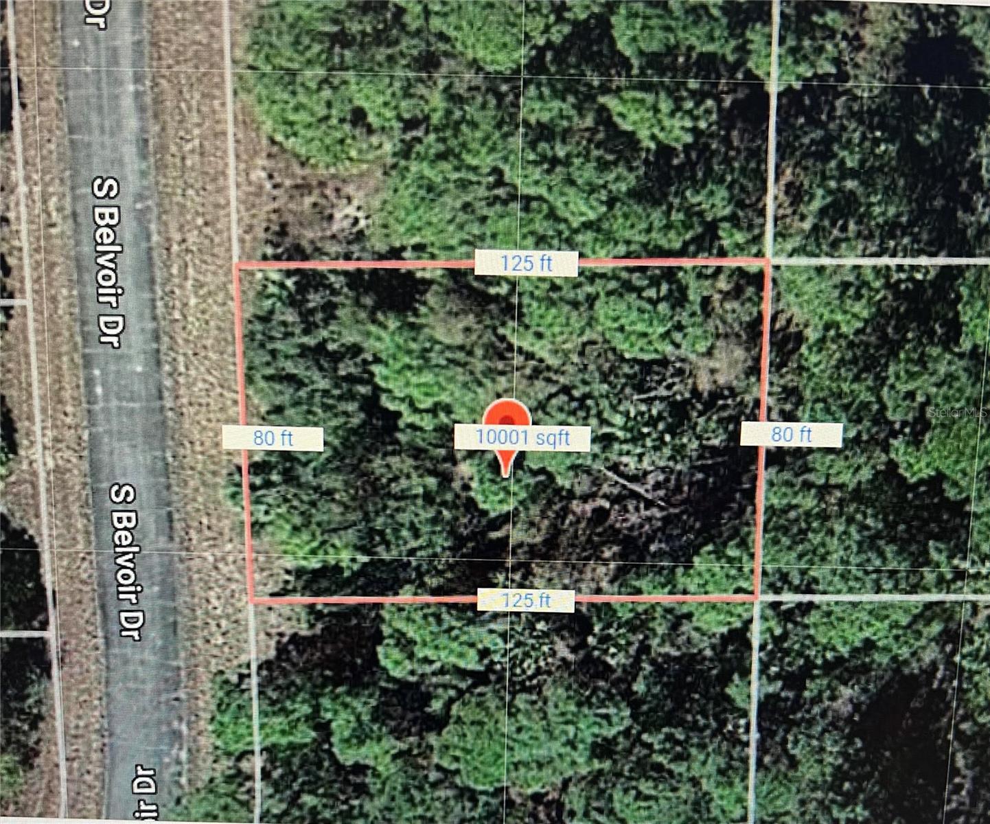 717 BROOKLYN LOOP, LABELLE, FL — photo 2