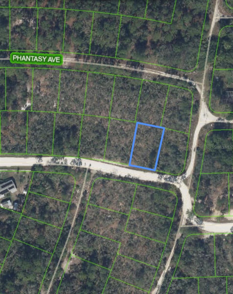 284 DEERWALK AVE, LAKE PLACID, FL — photo 4
