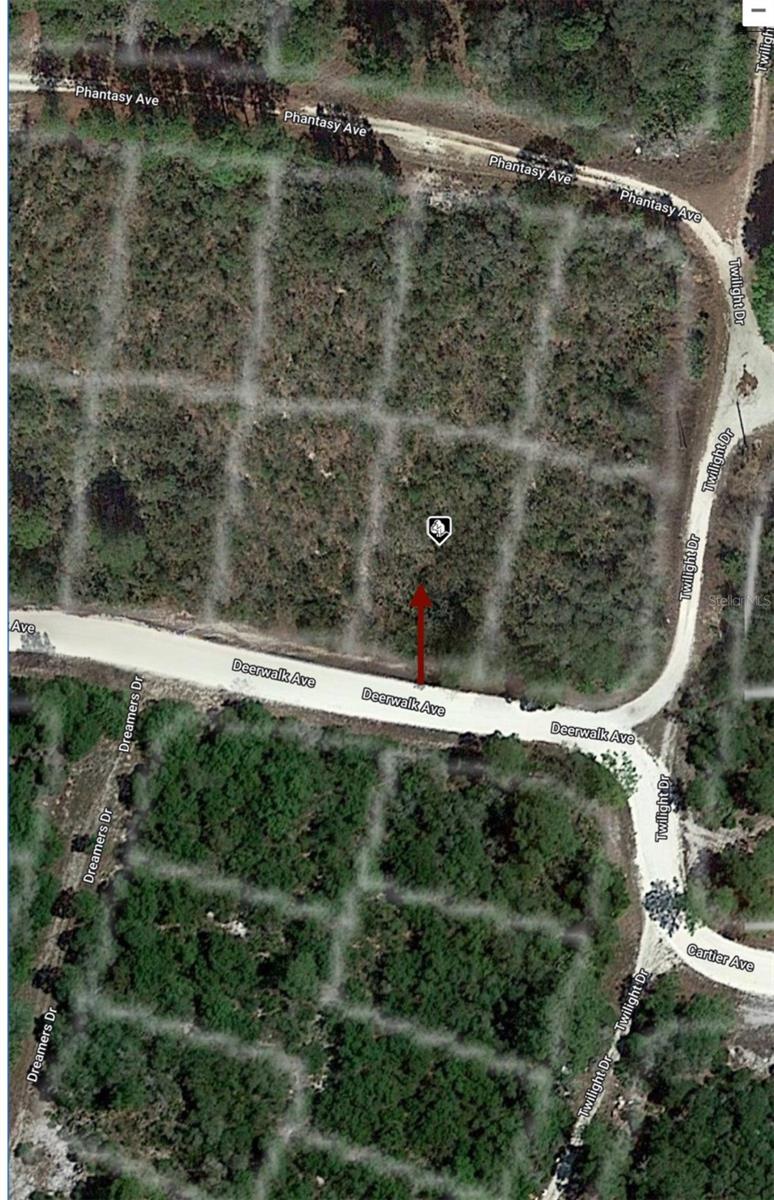 284 DEERWALK AVE, LAKE PLACID, FL — photo 7