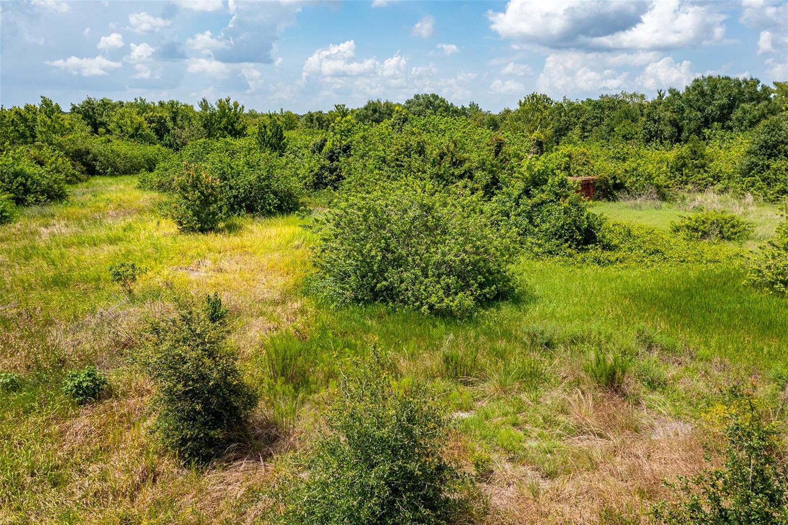 10800 BILL TUCKER RD, WIMAUMA, FL — photo 9