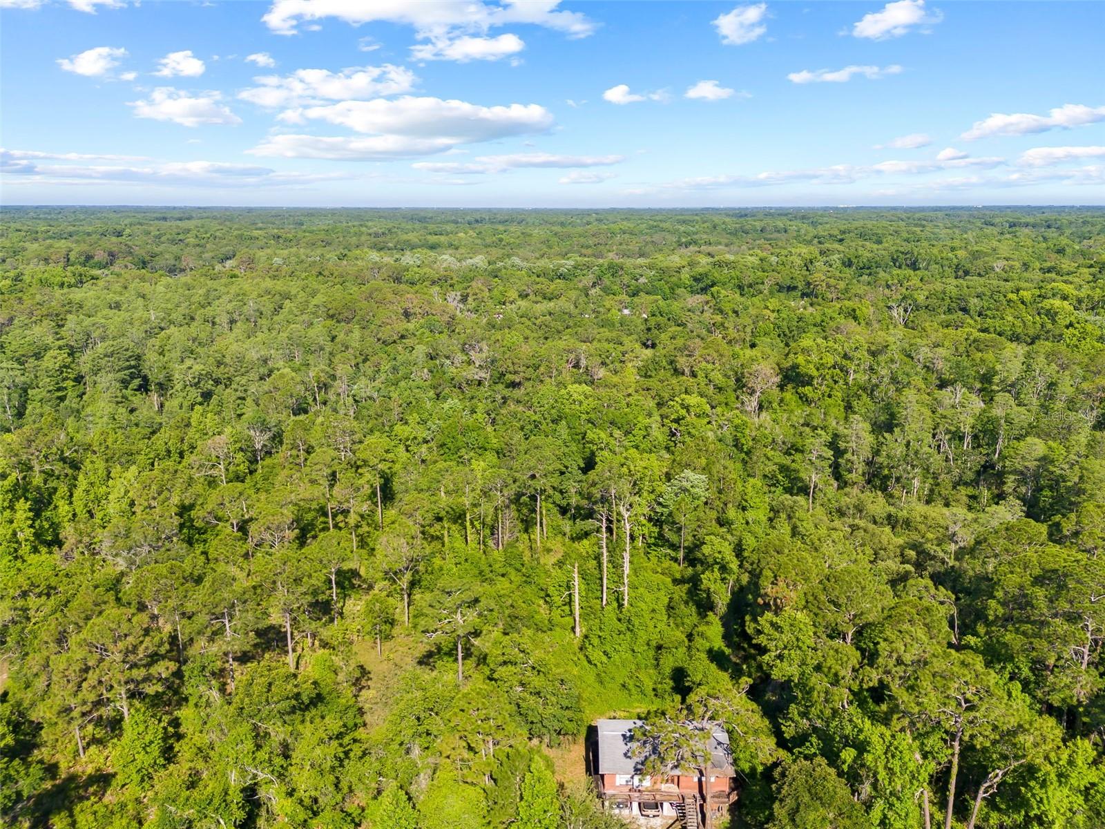 0 DOTHAN ST, NEW PORT RICHEY, FL — photo 8