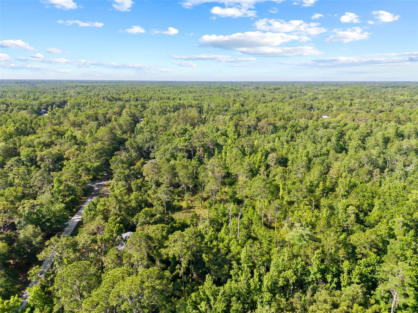 0 DOTHAN ST, NEW PORT RICHEY, FL — photo 16