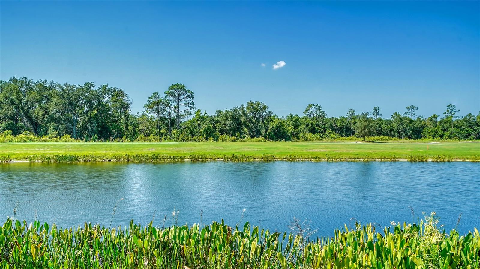 18028 GAWTHROP DR #306, BRADENTON, FL — photo 33