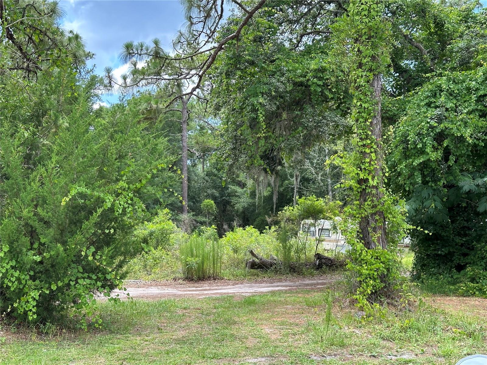 7435 W LINCOLN LN, HOMOSASSA, FL — photo 11