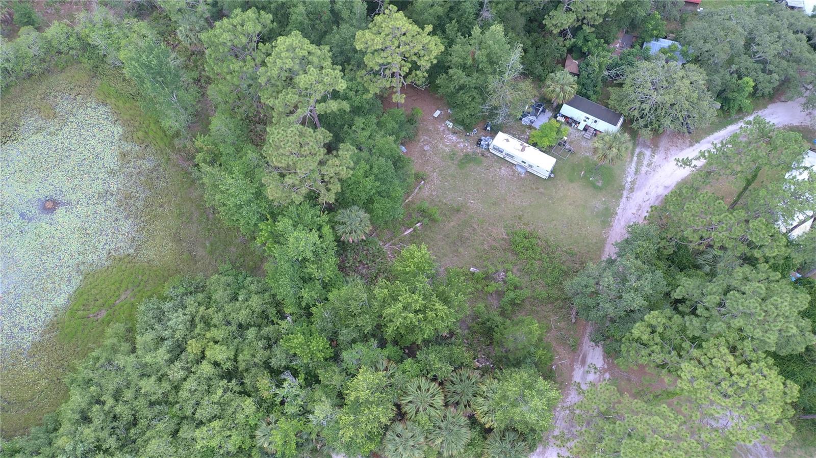 7435 W LINCOLN LN, HOMOSASSA, FL — photo 16