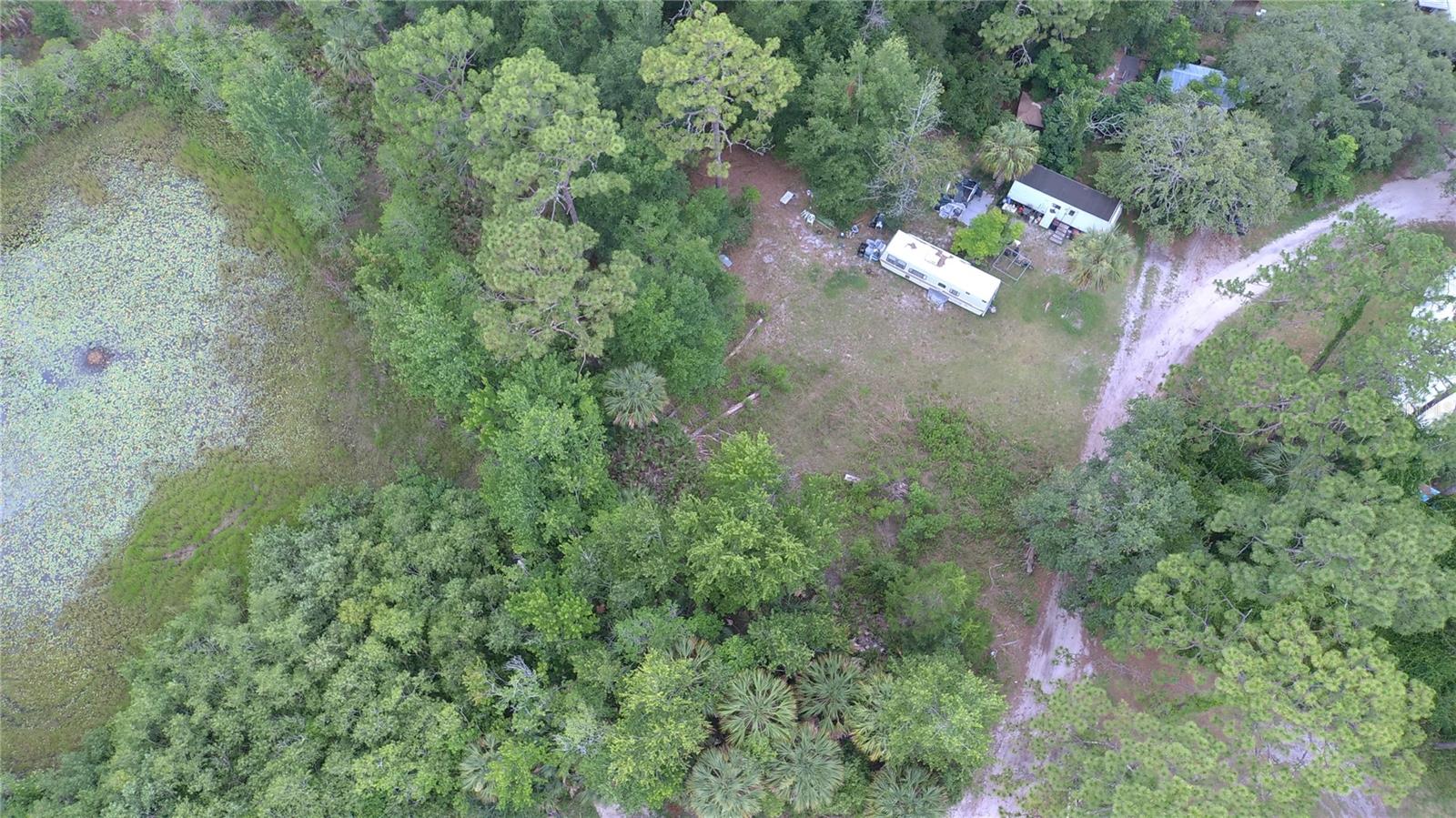 7435 W LINCOLN LN, HOMOSASSA, FL — photo 17