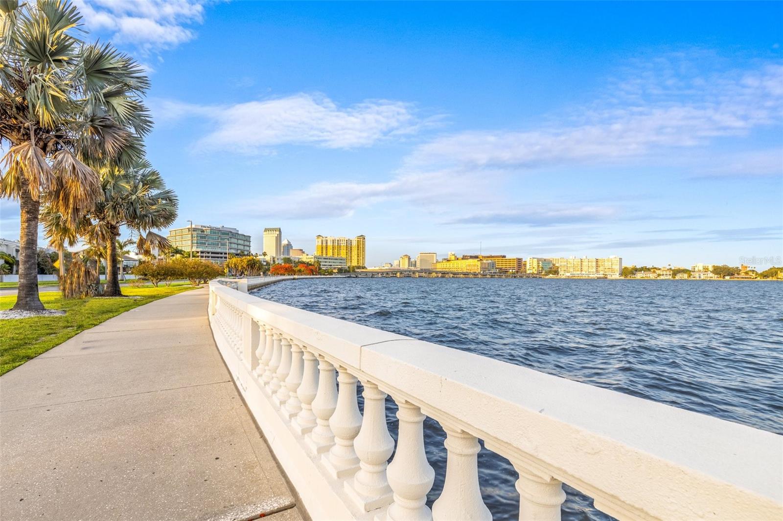 803 BAYSHORE BLVD, TAMPA, FL — photo 76