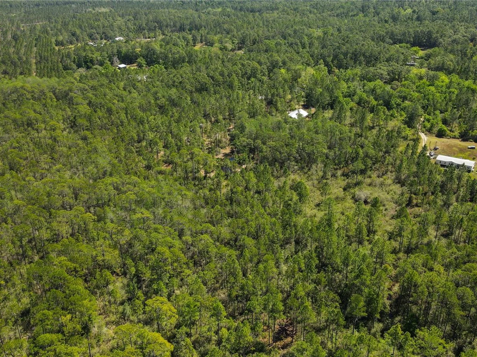 NE 108TH AVE, WALDO, FL — photo 9