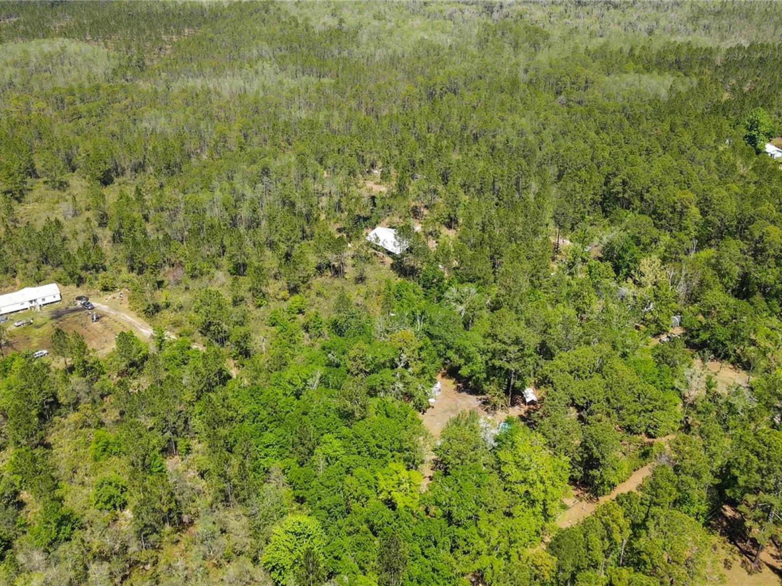 NE 108TH AVE, WALDO, FL — photo 11