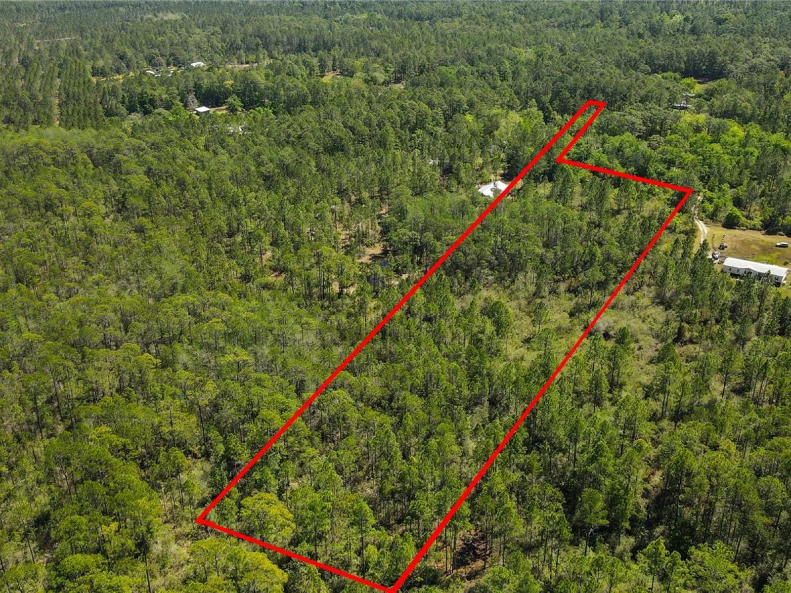 NE 108TH AVE, WALDO, FL — photo 1