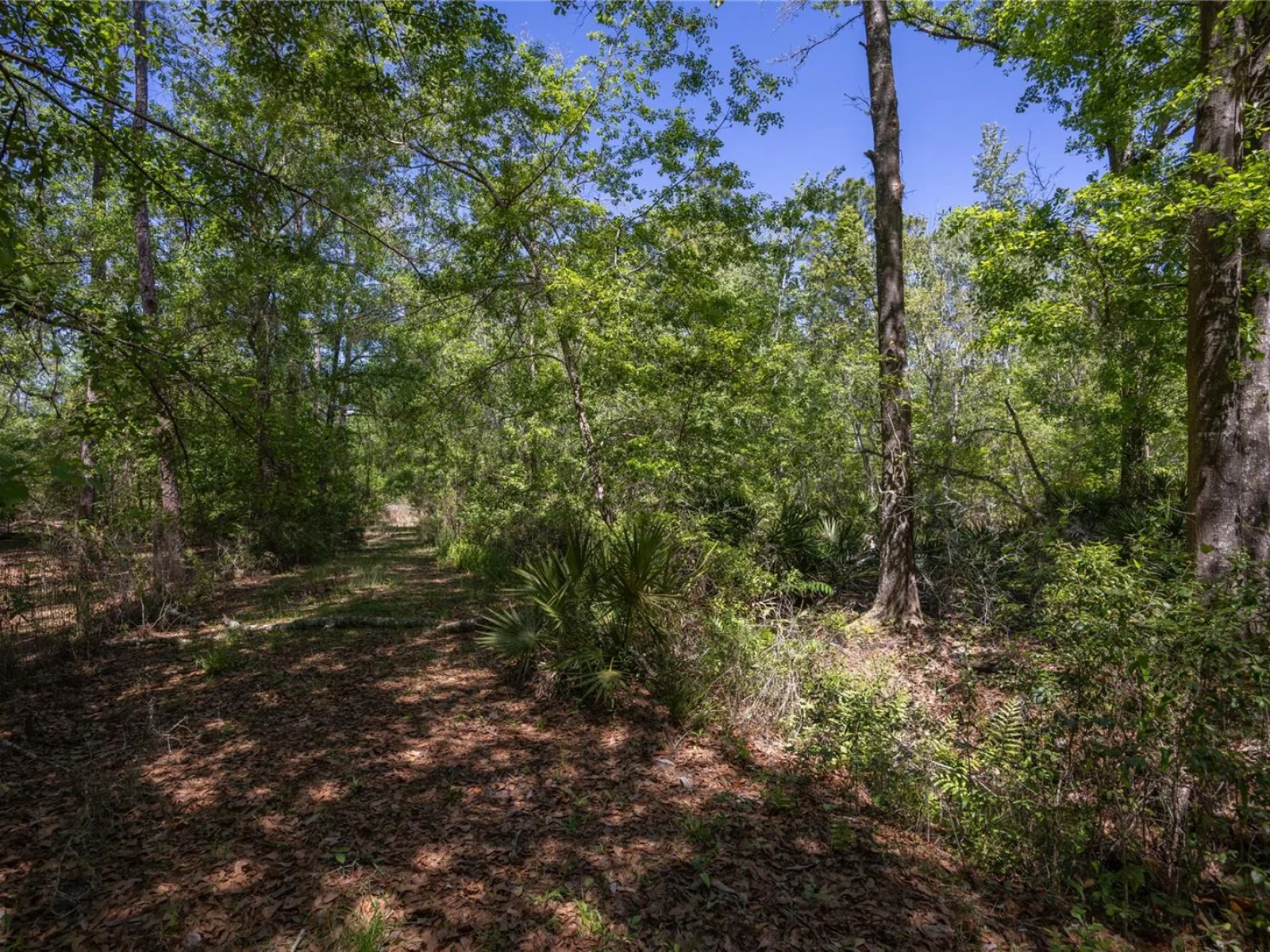 NE 108TH AVE, WALDO, FL — photo 2