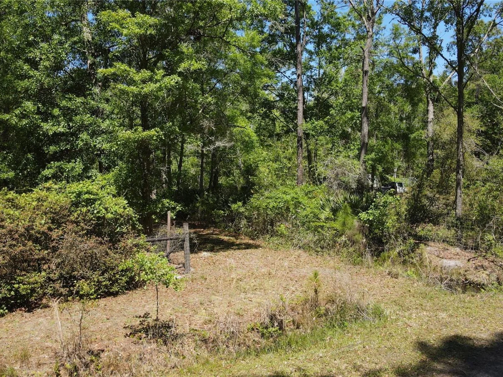 NE 108TH AVE, WALDO, FL — photo 6