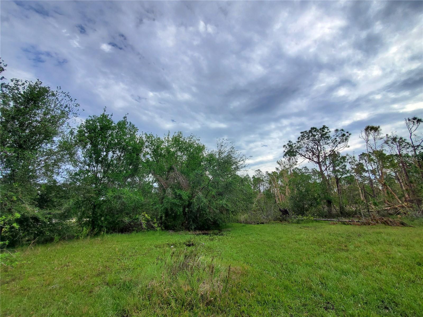 28275 MORNINGSIDE DR, PUNTA GORDA, FL — photo 5