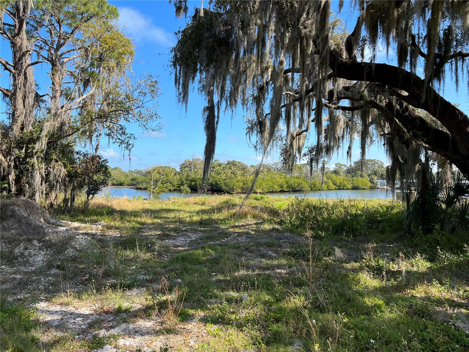 TIBERIUS TRL, NEW PORT RICHEY, FL — photo 2