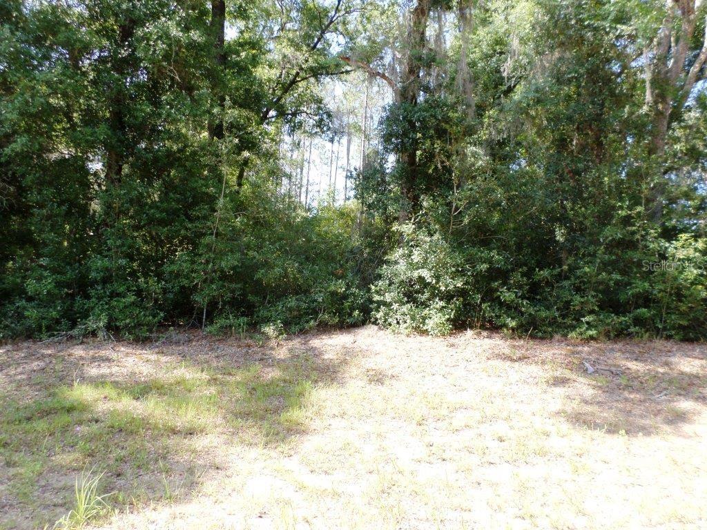 796 W LIGHTWOOD ST, CITRUS SPRINGS, FL — photo 5