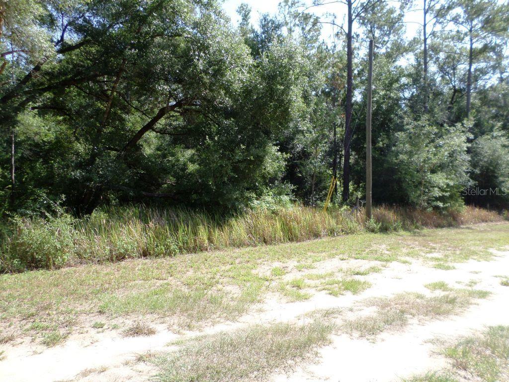 796 W LIGHTWOOD ST, CITRUS SPRINGS, FL — photo 11