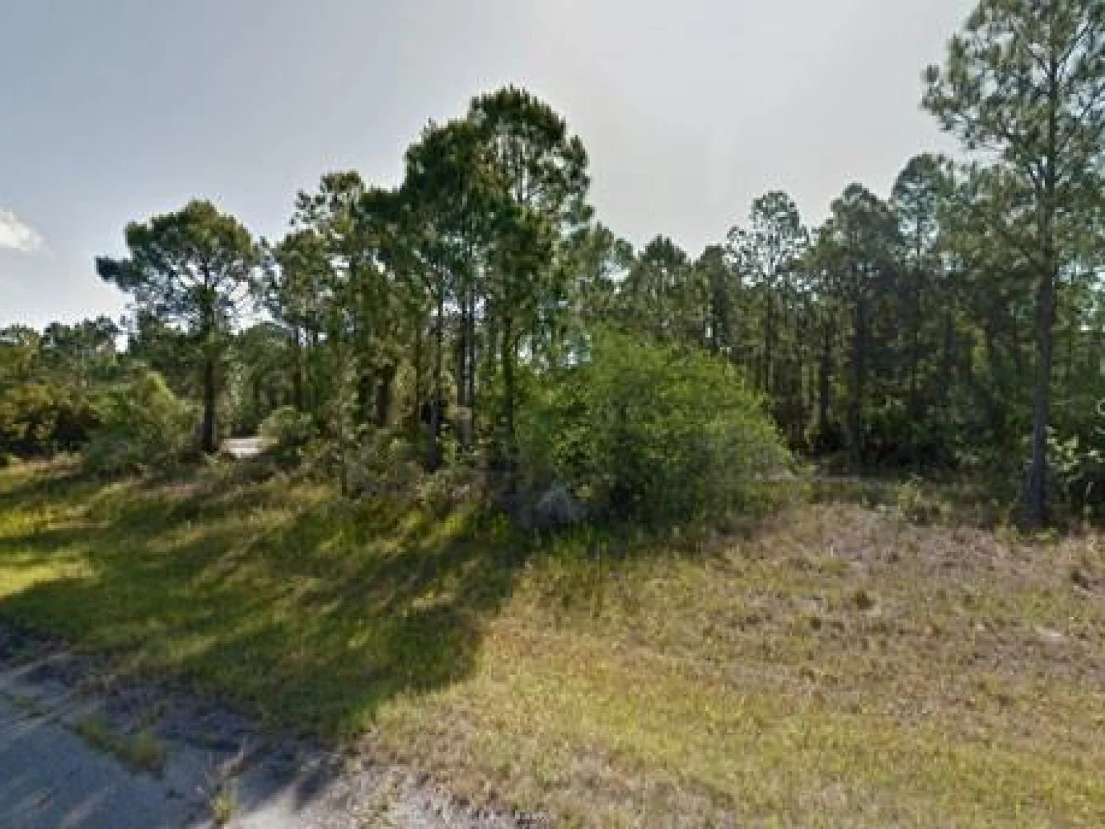BLUELEAF DR, NORTH PORT, FL — photo 1