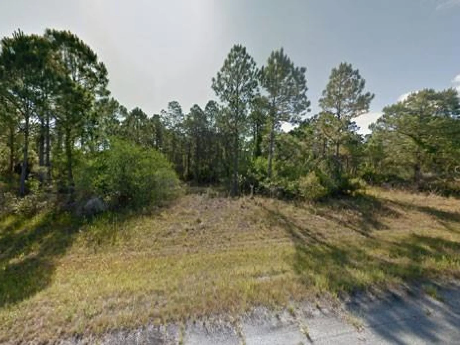 BLUELEAF DR, NORTH PORT, FL — photo 2