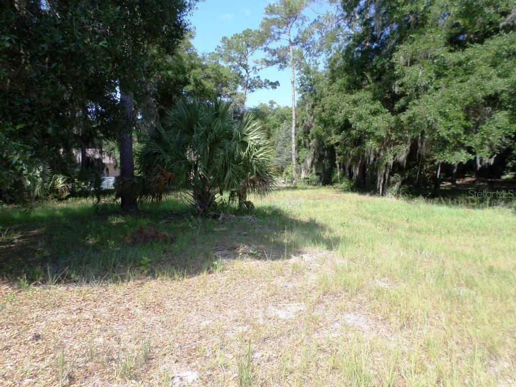 00 BLUE HERON CT, DUNNELLON, FL