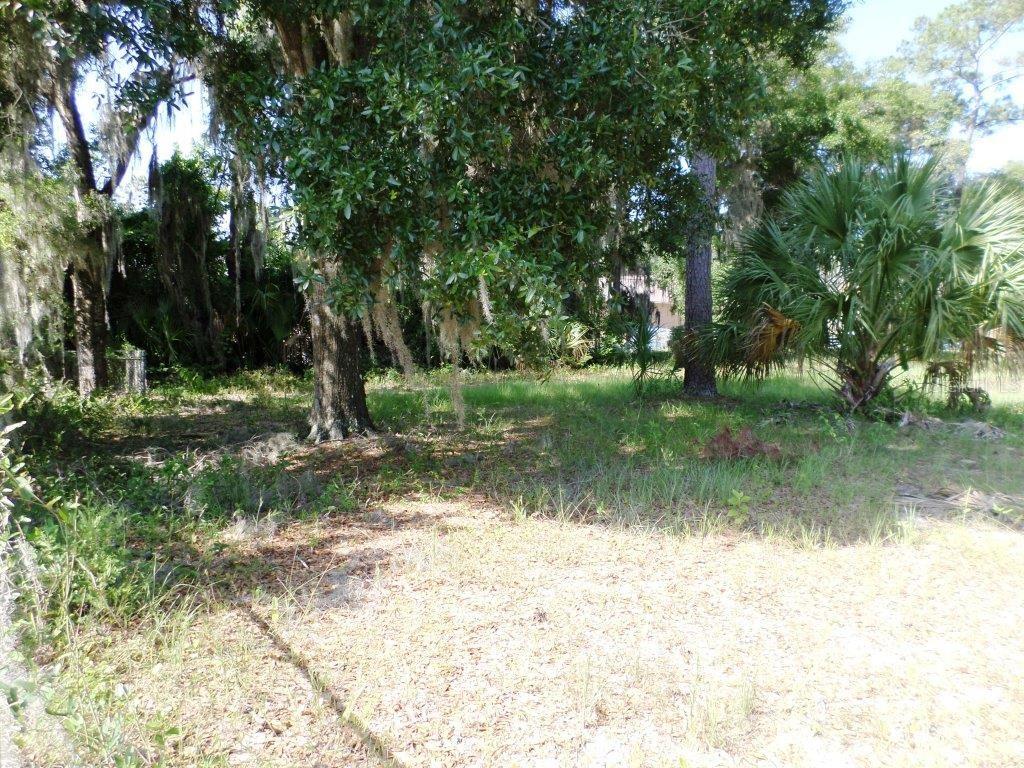 00 BLUE HERON CT, DUNNELLON, FL — photo 2