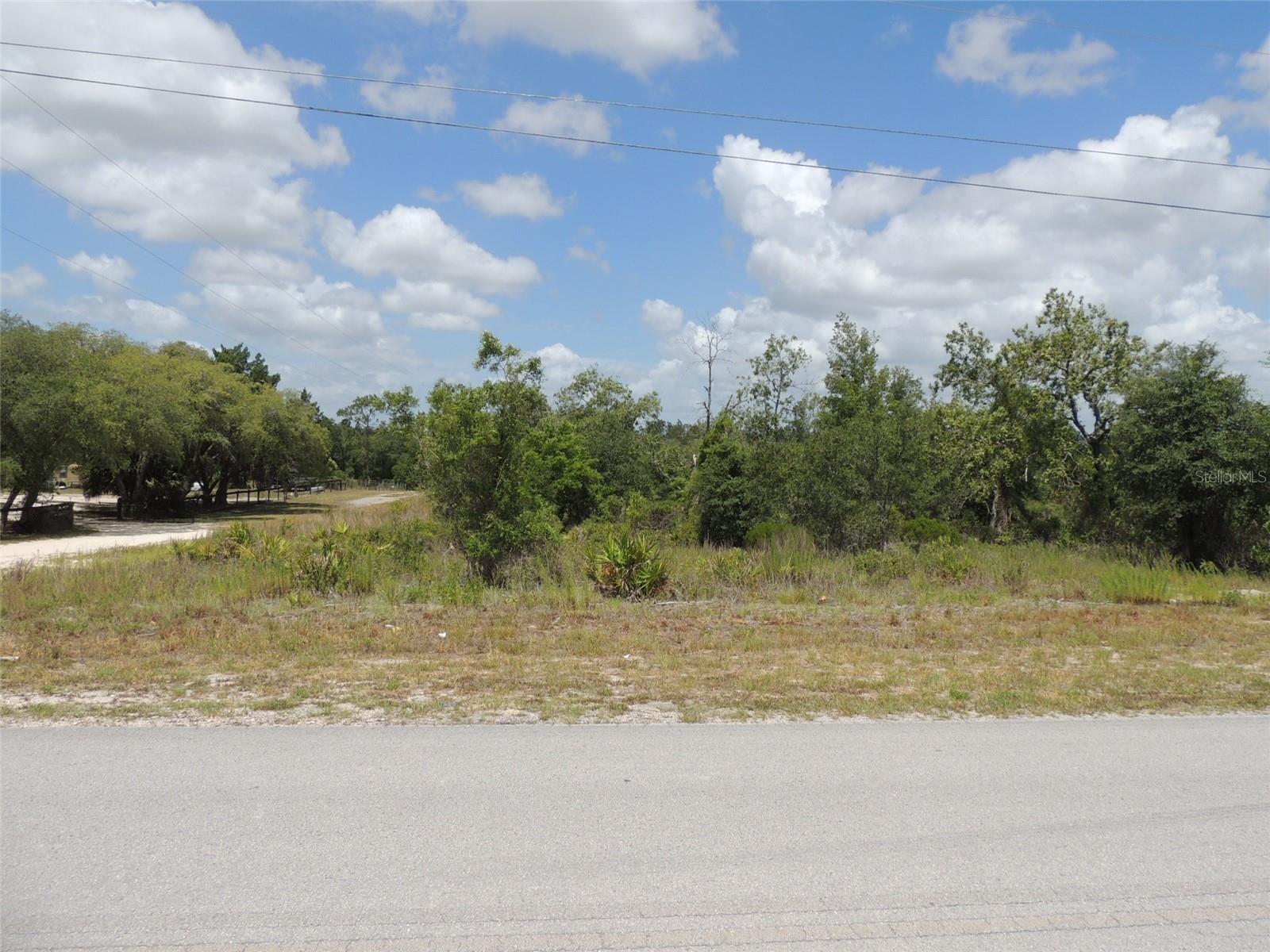 13591 NE 51ST LN, WILLISTON, FL
