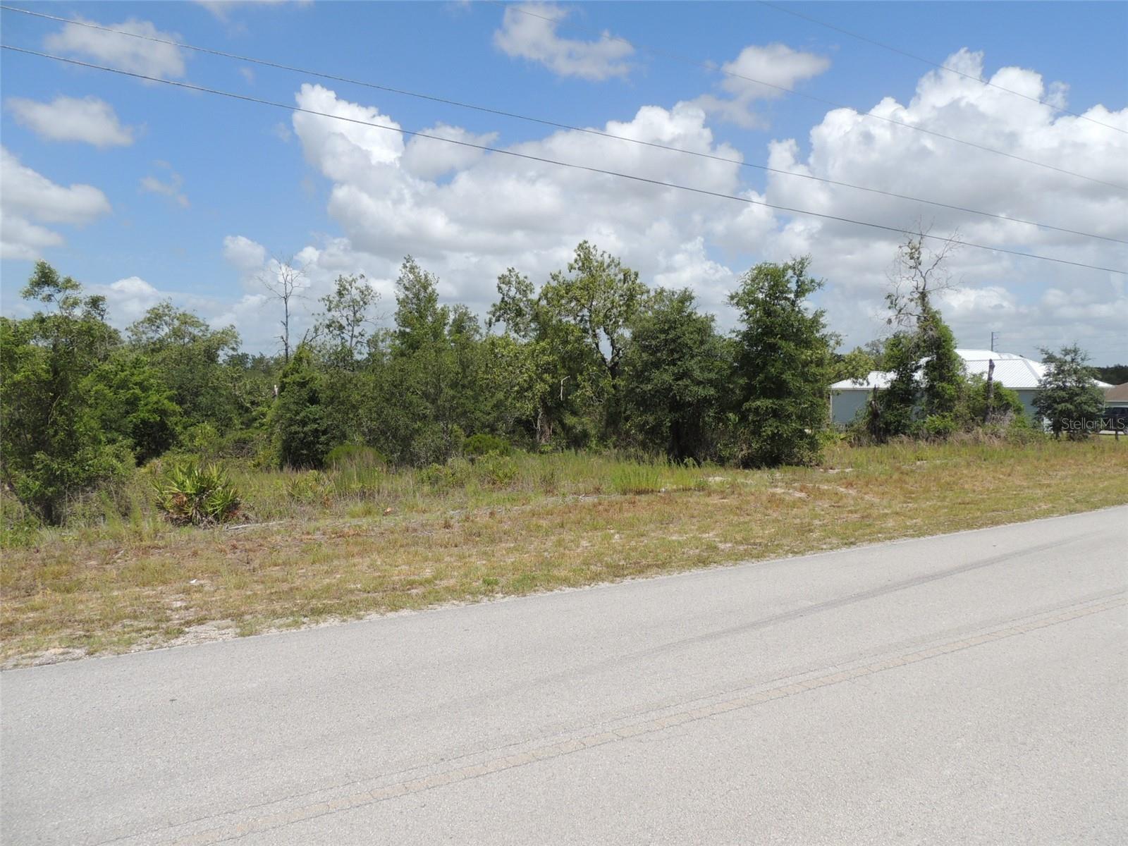 13591 NE 51ST LN, WILLISTON, FL — photo 3