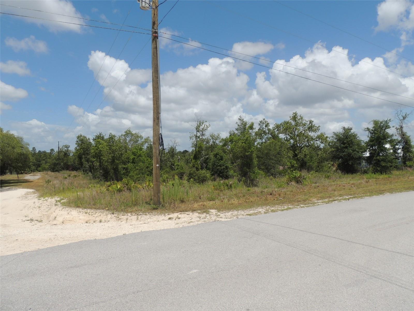 13591 NE 51ST LN, WILLISTON, FL — photo 5