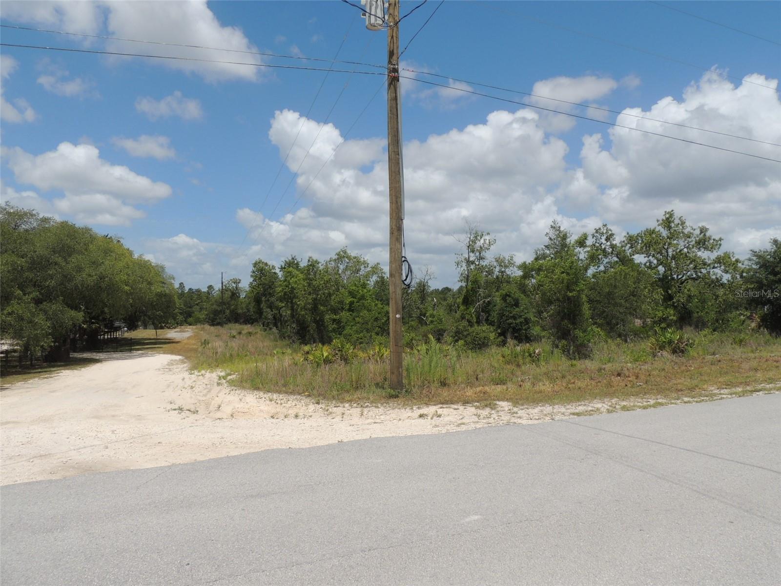 13591 NE 51ST LN, WILLISTON, FL — photo 6