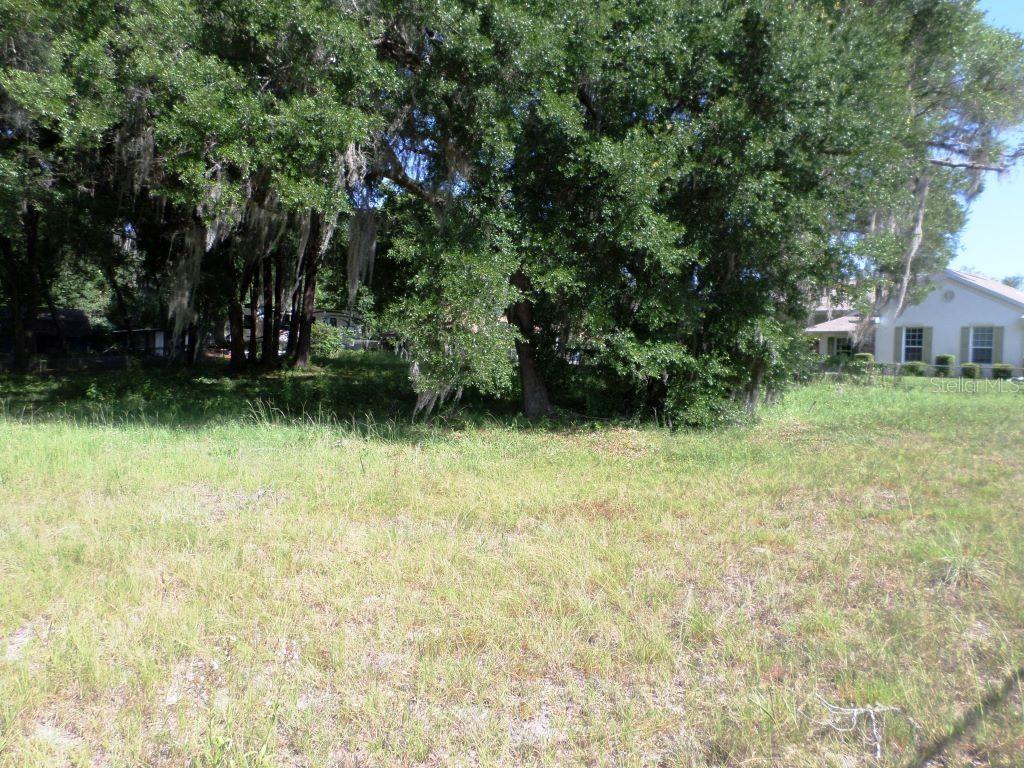 000 BLUE HERON CT #000, DUNNELLON, FL