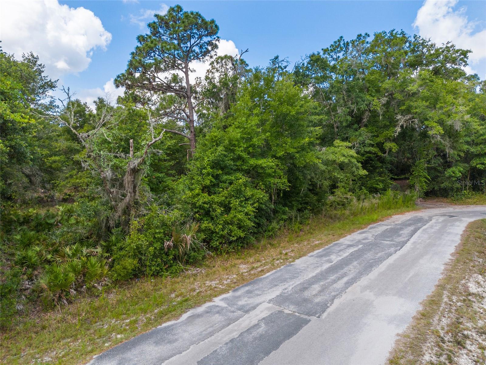 12180 W OLIVE TREE LN, CRYSTAL RIVER, FL