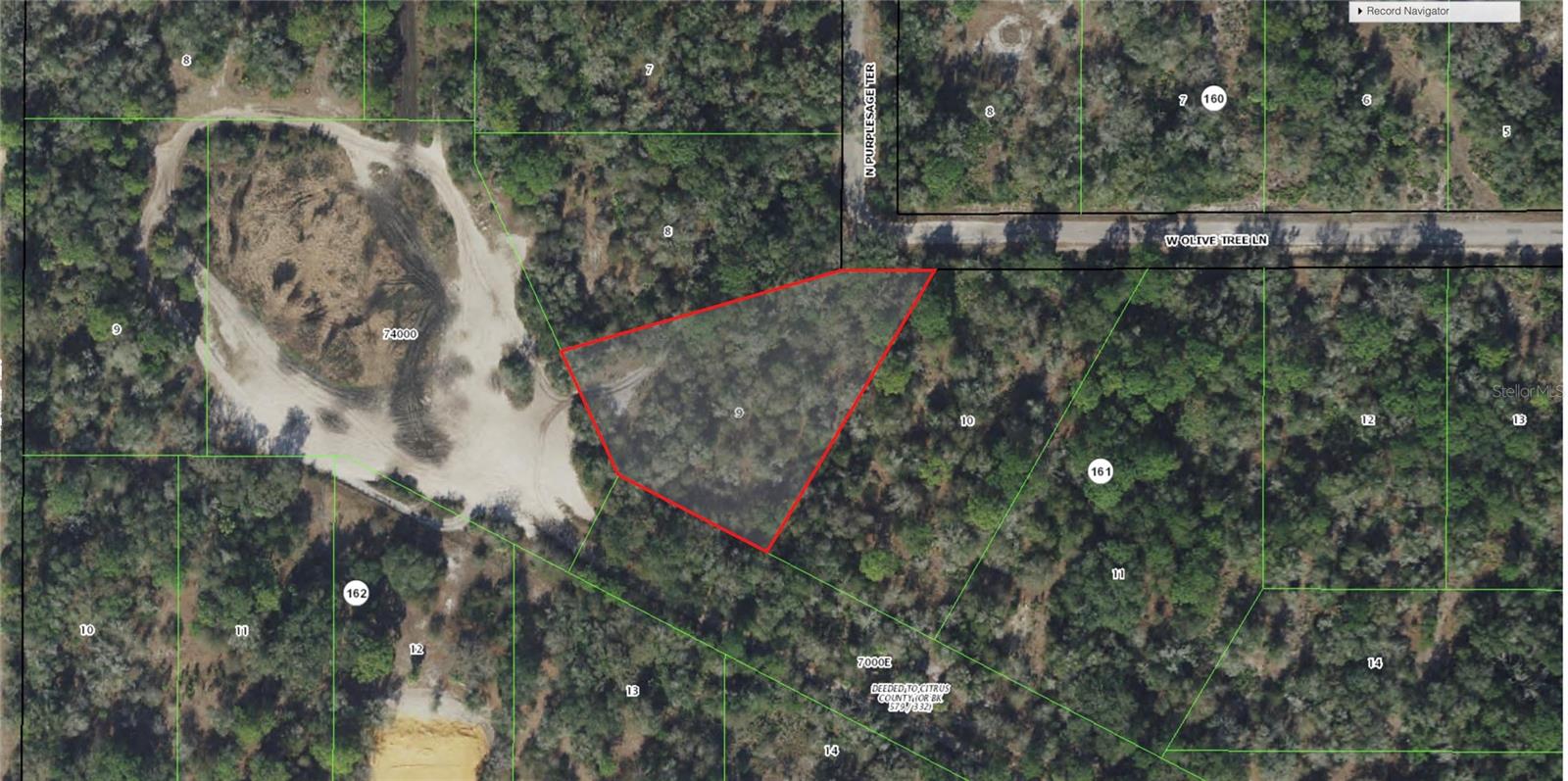 12180 W OLIVE TREE LN, CRYSTAL RIVER, FL — photo 5