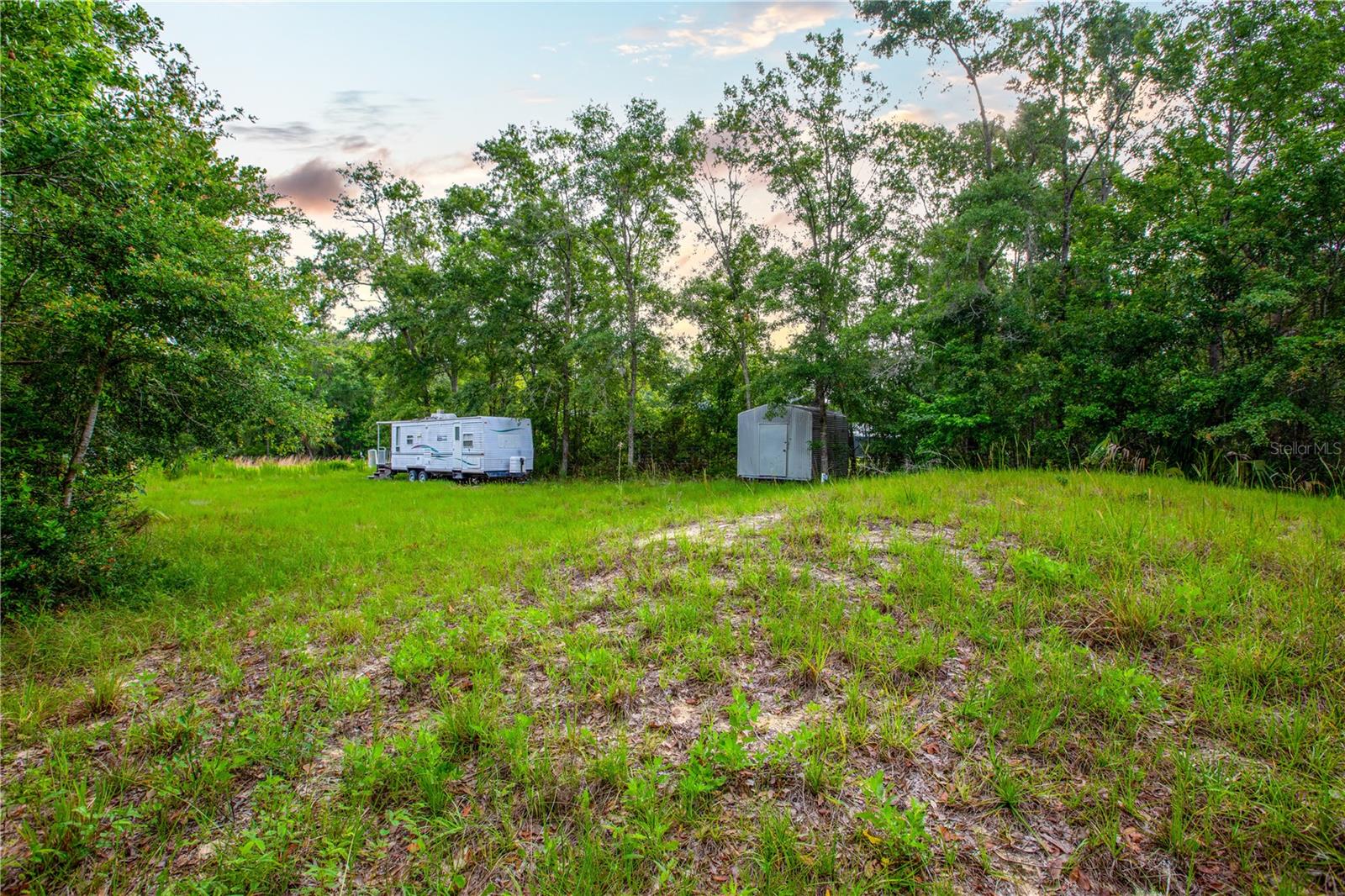 400 COASTAL OAK LN NW, STEINHATCHEE, FL — photo 22