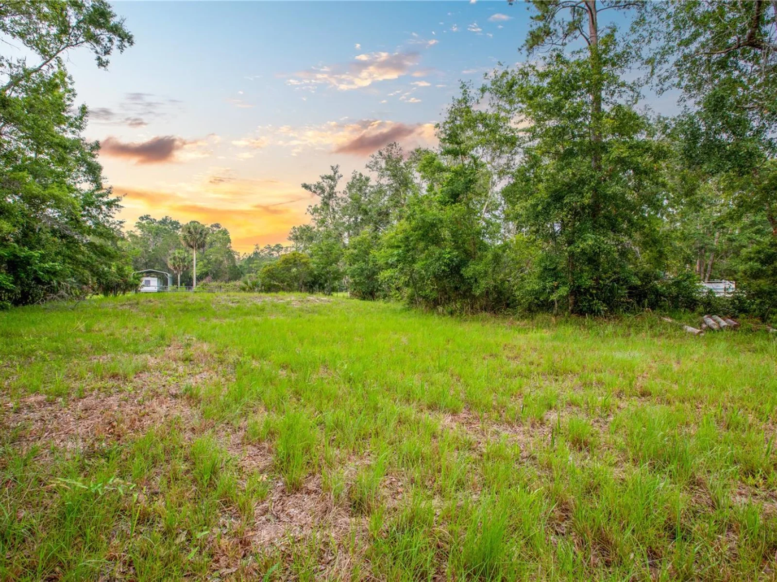 400 COASTAL OAK LN NW, STEINHATCHEE, FL — photo 25