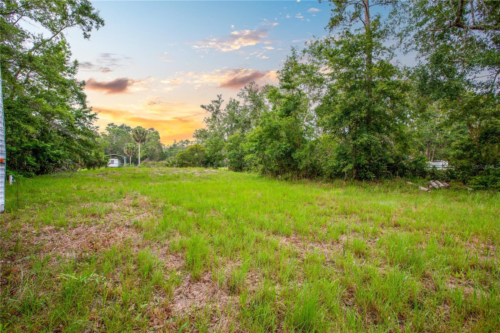 400 COASTAL OAK LN NW, STEINHATCHEE, FL — photo 26