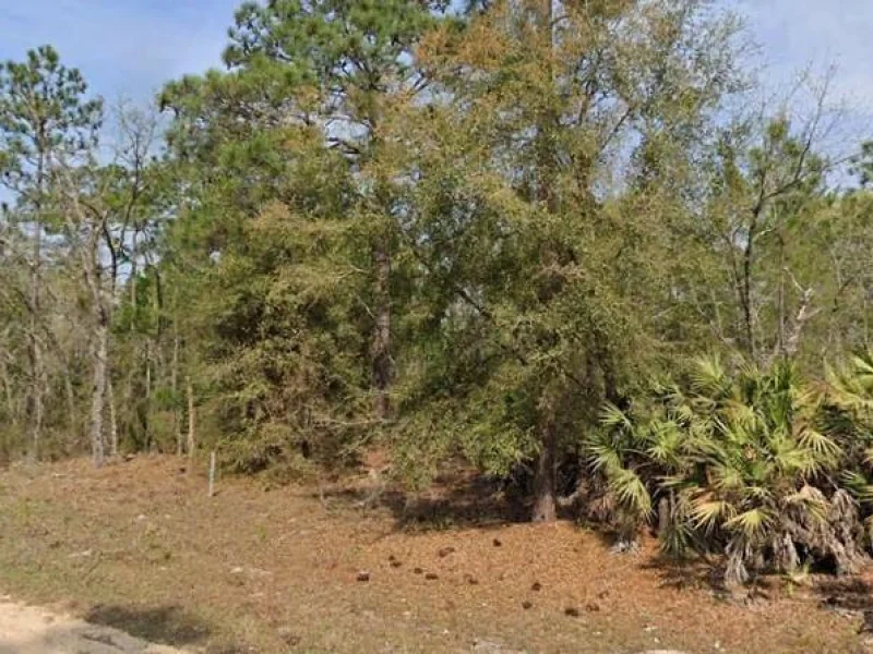 UNION AVE, INTERLACHEN, FL