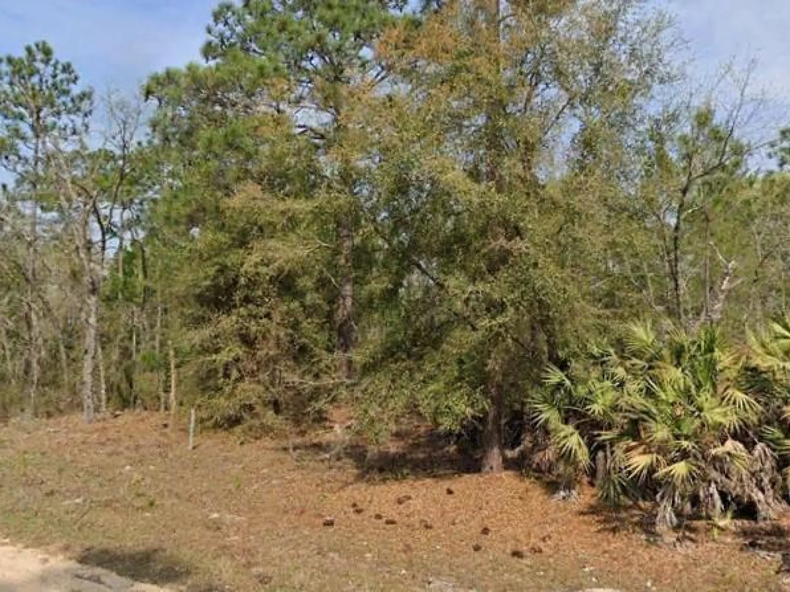 UNION AVE, INTERLACHEN, FL — photo 1