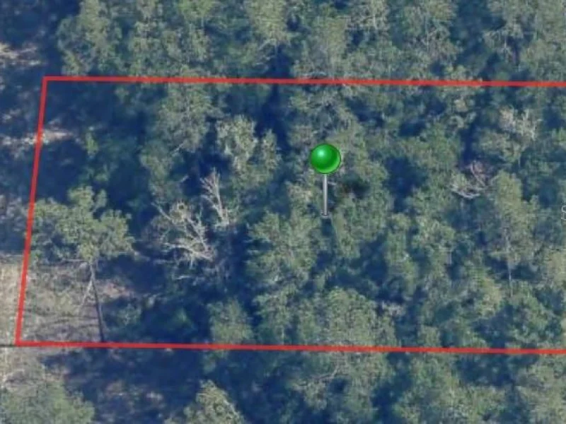 9861 N BALDWIN TER, DUNNELLON, FL
