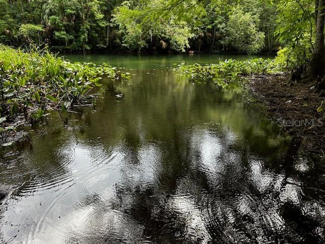7205 NE 61ST AVENUE RD, SILVER SPRINGS, FL — photo 49