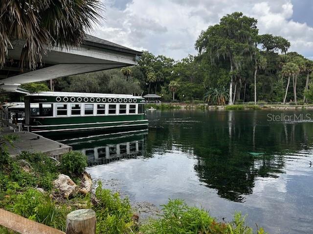 7205 NE 61ST AVENUE RD, SILVER SPRINGS, FL — photo 63