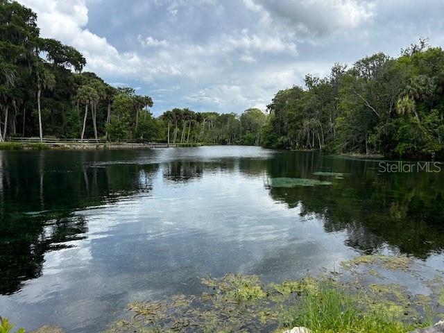 7205 NE 61ST AVENUE RD, SILVER SPRINGS, FL — photo 64