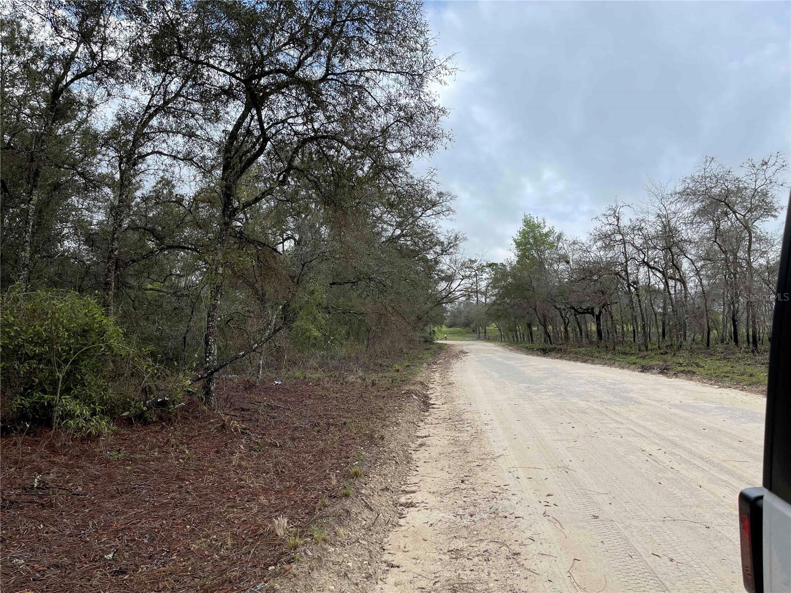 Lot 8 NE 120 AVE, WILLISTON, FL — photo 3