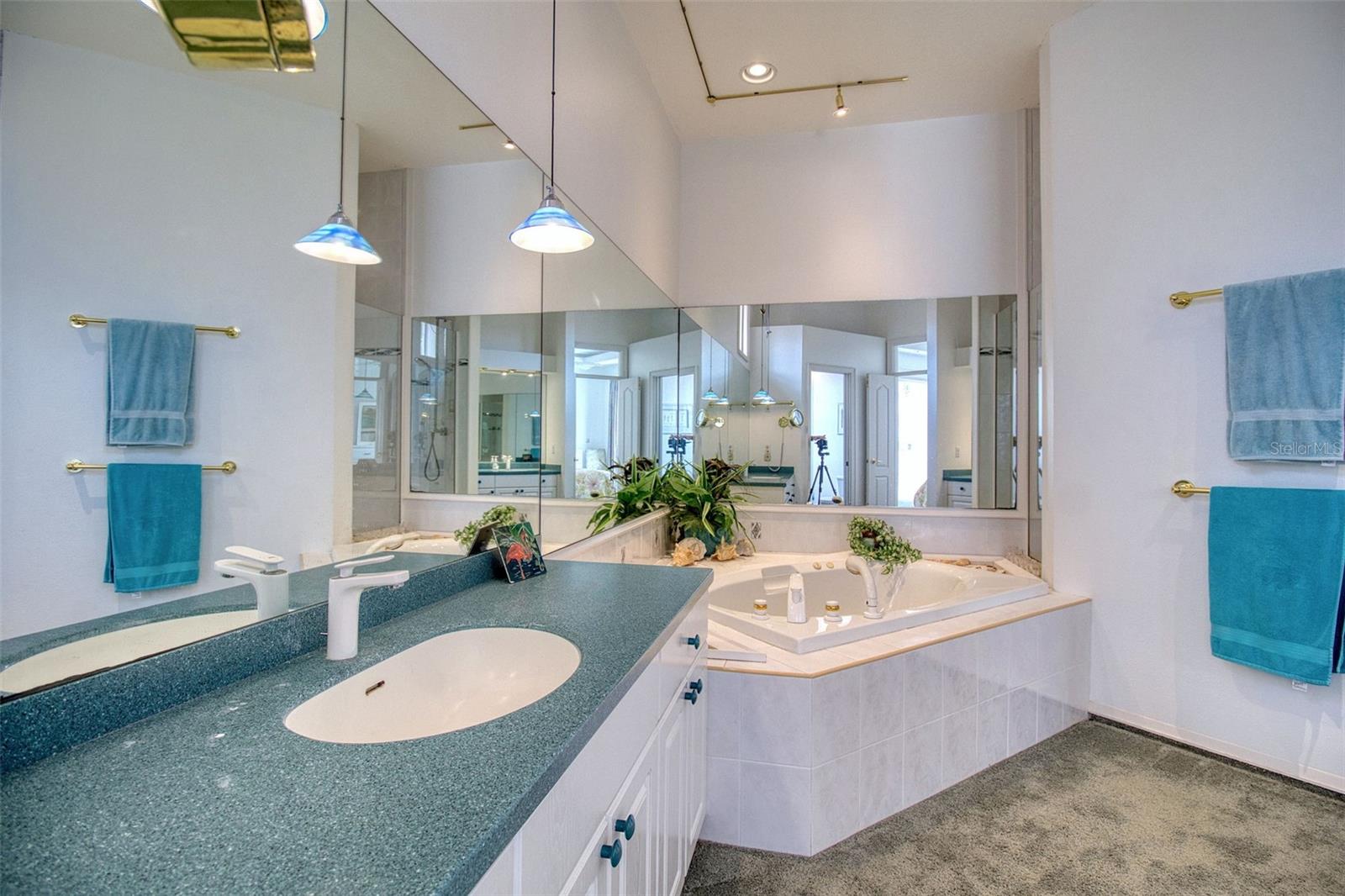 131 SANDS POINT DRIVE, TIERRA VERDE, FL — photo 36