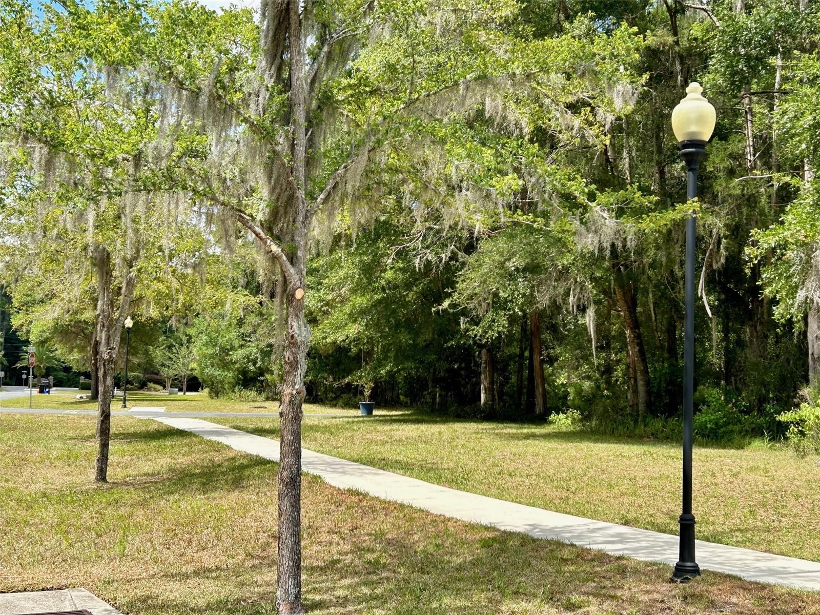 5933 NW 88TH WAY, GAINESVILLE, FL — photo 5