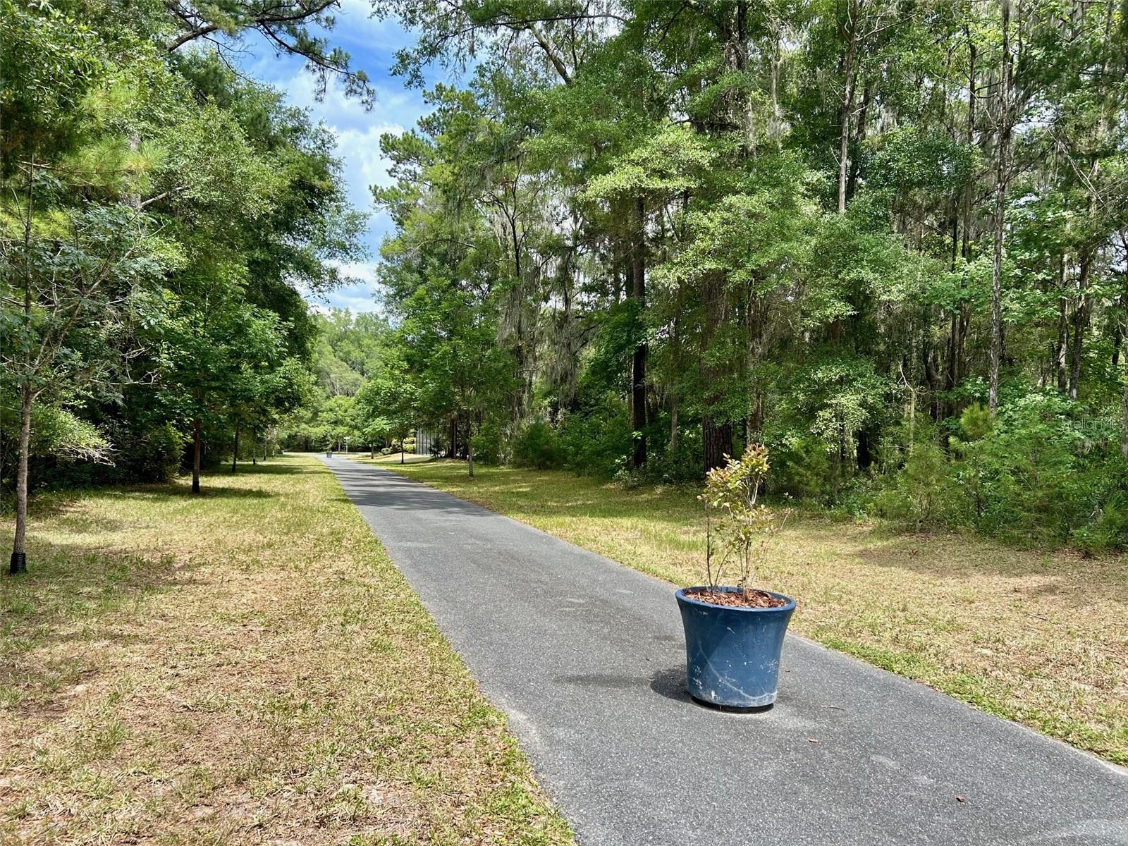 5933 NW 88TH WAY, GAINESVILLE, FL — photo 6