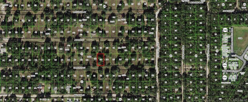 2304 GARFIELD ST, INVERNESS, FL