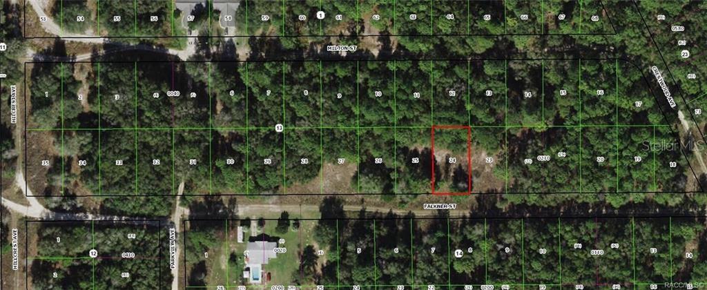 1912 FALKNER ST, INVERNESS, FL