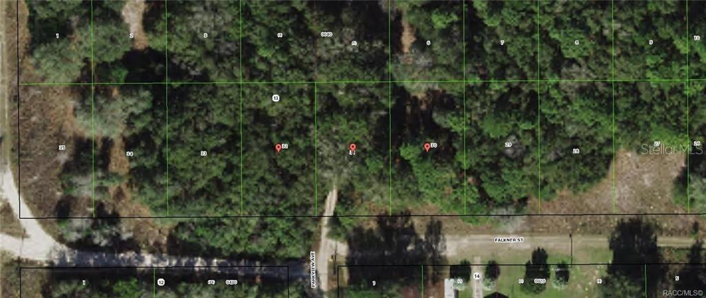 2104,2016,2014 FALKNER ST, INVERNESS, FL